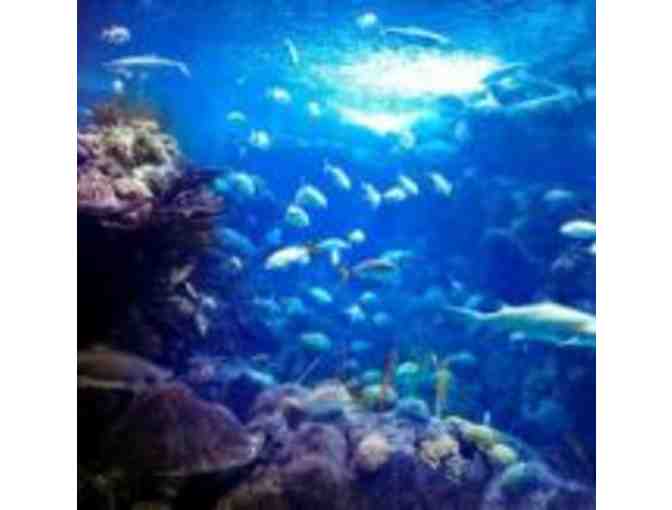 2 General Admission Tickets to The Florida Aquarium - Tampa, FL