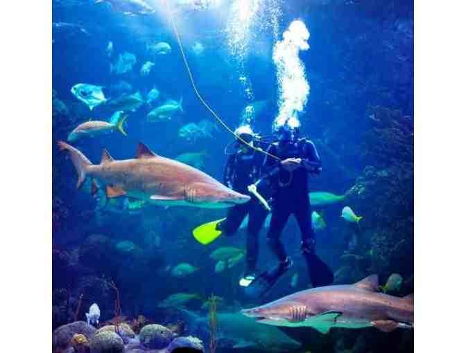 2 General Admission Tickets to The Florida Aquarium - Tampa, FL