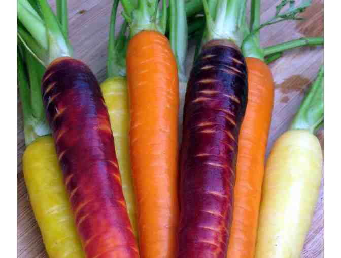 $12 Gift Certificate for Early Morning Orchard