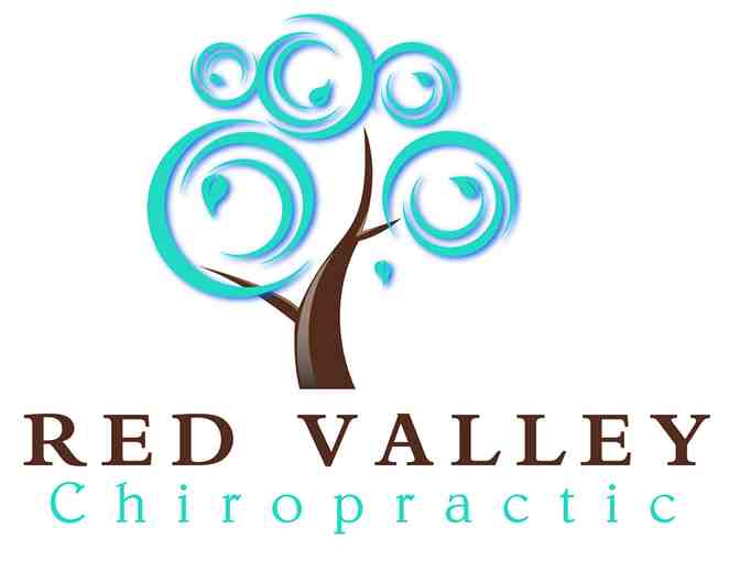One New Patient Exam, Consultation and Adjustment from Red Valley Chiropractic