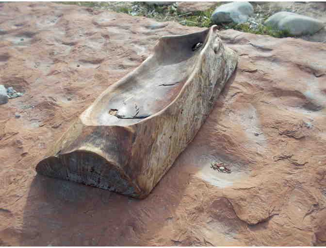 Rustic Pecan Wood Bowl by Triassic Industries