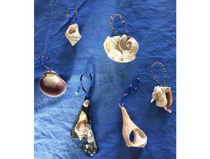 Houseplant Bling from Canyon Nursery