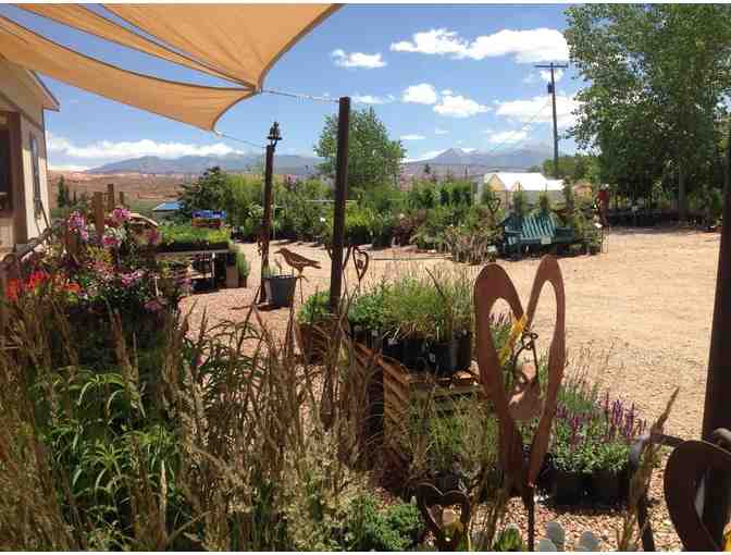 $50 Gift Certificate to Wildland Scapes Nursery
