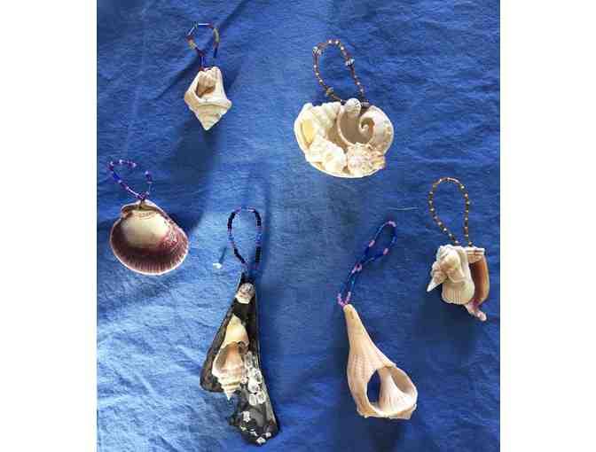 Houseplant Bling from Canyon Nursery