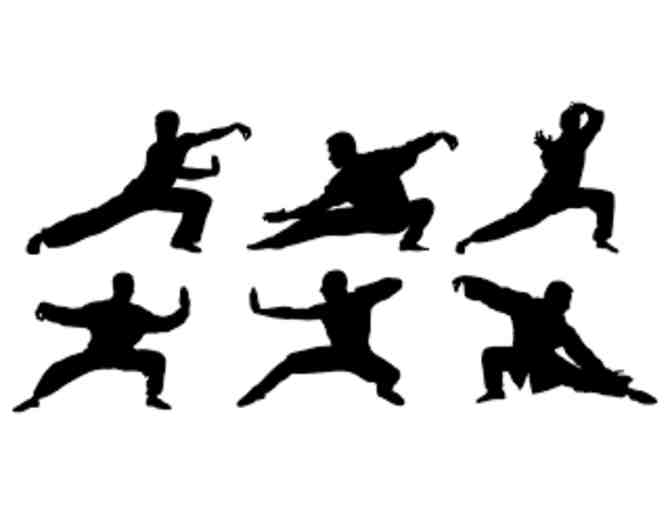 Private Tai Chi Lesson by Drew Roots of San Miguel Wellness Retreat