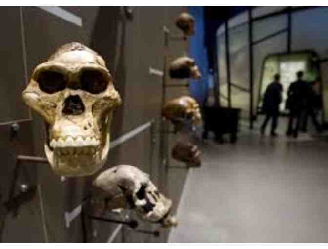 A Day at The Natural History Museum of Utah Package (in SLC)!