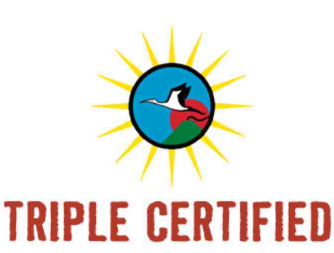 Caffe Ibis - 12 ounce Pacific Colored HydroFlask with Flex Sip Lid