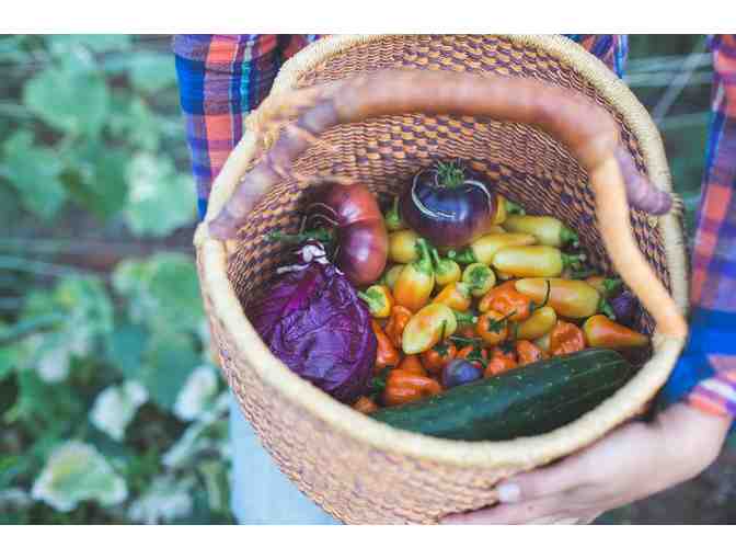 Farm Yard - $50.00 Gift Certificate for Garden Consultation