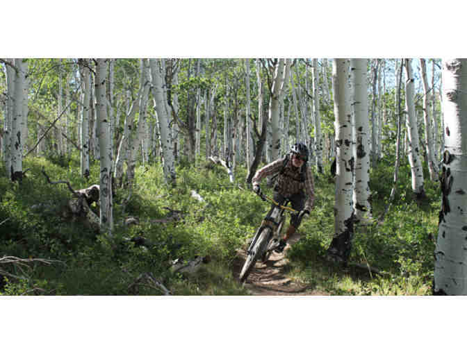 Rim Tours - Half Day Mountain Bike Tour for 2