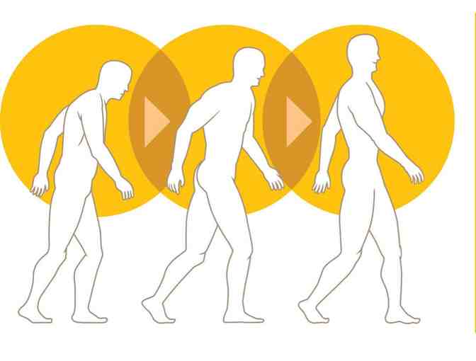 Shift Structural Integration - 90 Minute Session with Kelly Michaud