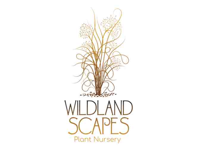 Wildland Scapes - One Bale of Happy Frog Soil Conditioner
