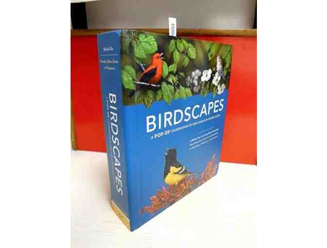 Birdscapes - Courtesy of Pam Hackley and Bob Lippman