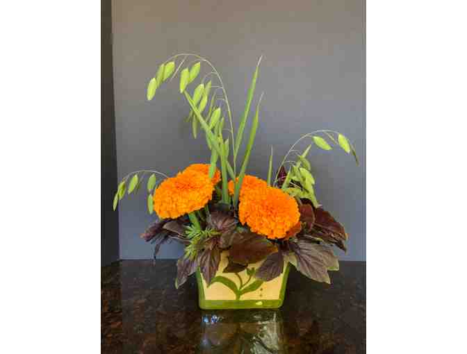 Canyon Nursery - Biweekly Bodacious Blooms, Delivered to You!