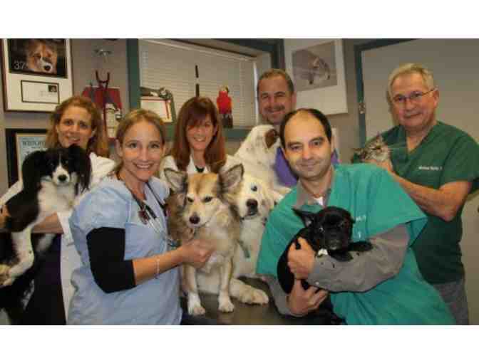 Love Your Pet...Gift Certificate to Central Animal Hospital