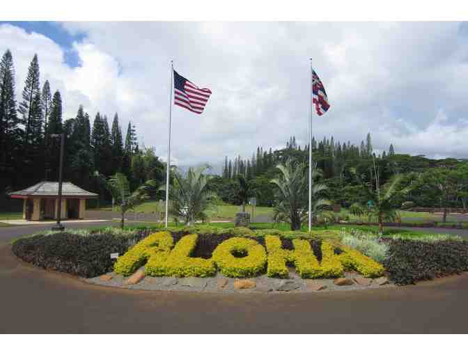 Family Fun Day! Anaina Hou Miniature Golf for 6