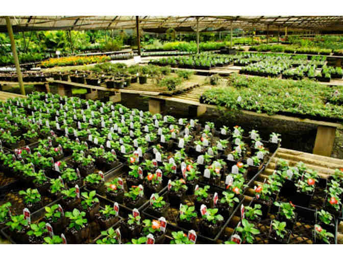 Kauai Nursery and Landscaping Gift Certificate - $25 Value