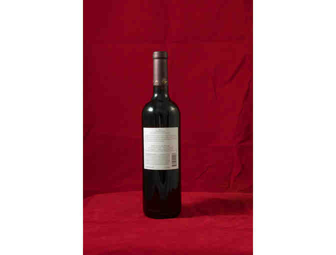 Napa Valley Instant Cellar - 11 bottles total