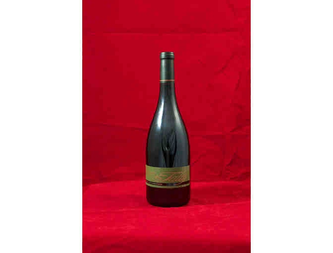 Dry Creek Valley 12-Bottle Connoisseur's Instant Cellar