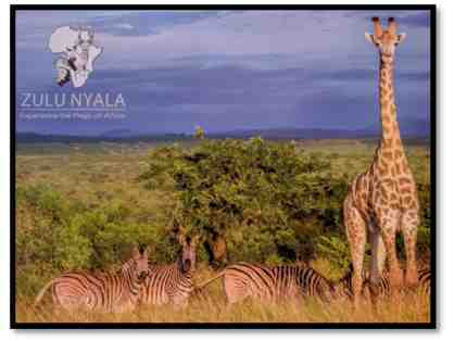 South African Photo Safari for 2